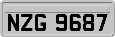 NZG9687