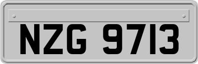 NZG9713