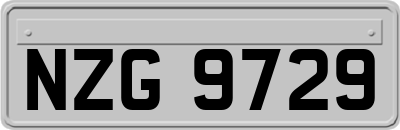 NZG9729