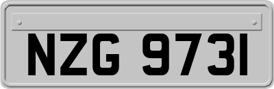 NZG9731