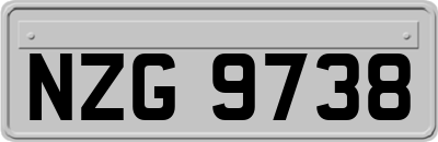 NZG9738