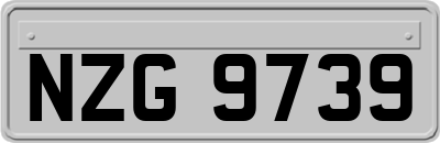 NZG9739