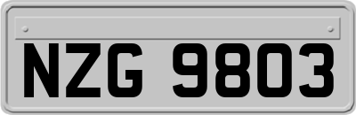 NZG9803
