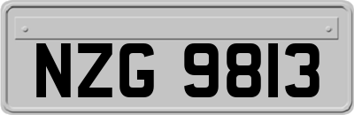 NZG9813