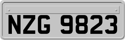 NZG9823