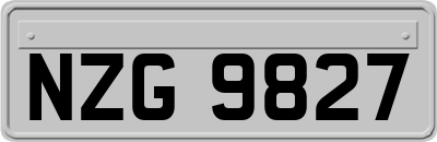 NZG9827