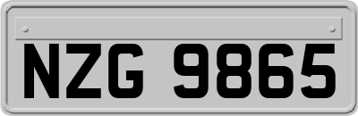 NZG9865