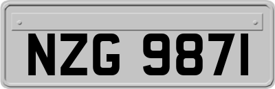 NZG9871