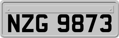 NZG9873