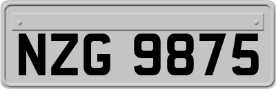 NZG9875