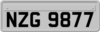 NZG9877