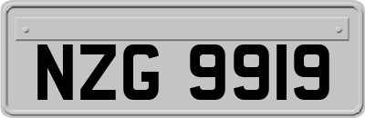 NZG9919