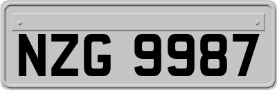 NZG9987