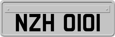 NZH0101