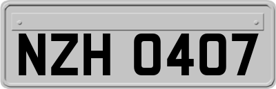 NZH0407