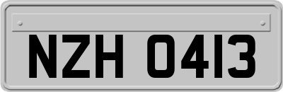 NZH0413