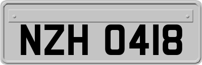 NZH0418