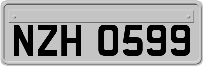 NZH0599