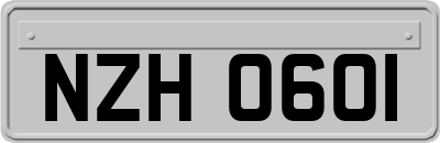 NZH0601