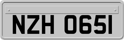 NZH0651