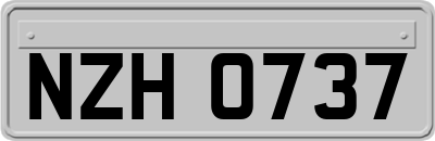 NZH0737