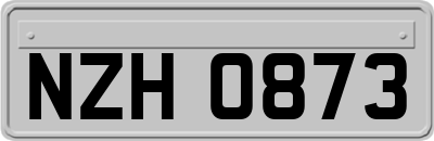 NZH0873