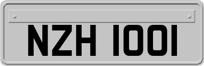 NZH1001