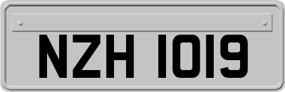 NZH1019