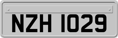 NZH1029