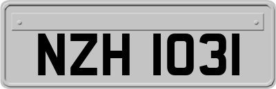 NZH1031