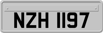NZH1197