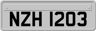 NZH1203