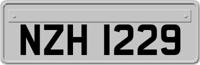 NZH1229