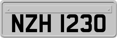 NZH1230