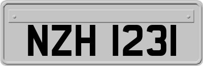 NZH1231