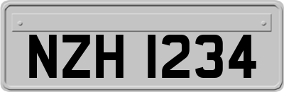 NZH1234