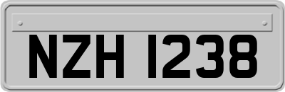 NZH1238