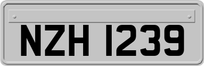 NZH1239