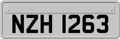 NZH1263