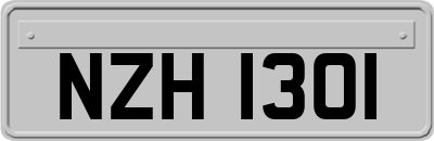NZH1301