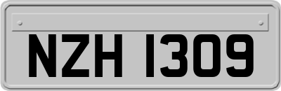 NZH1309