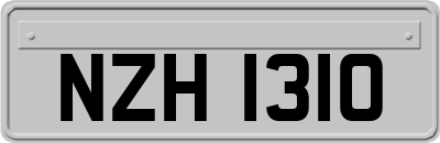 NZH1310