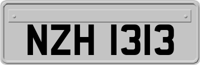 NZH1313