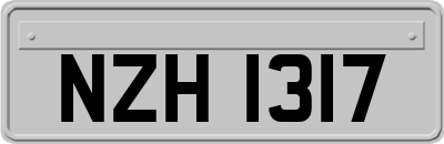 NZH1317