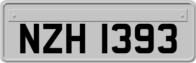 NZH1393