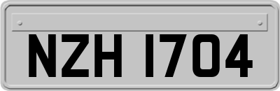 NZH1704