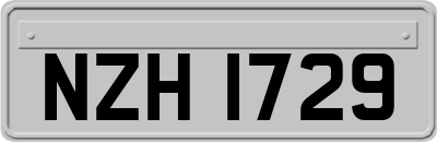 NZH1729