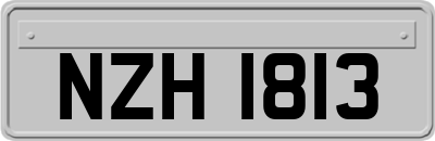 NZH1813