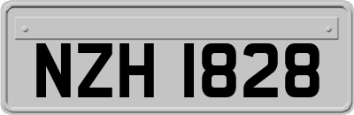 NZH1828