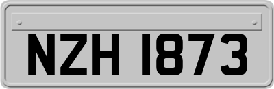 NZH1873